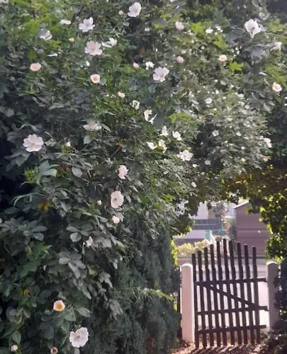 Apartment Mountain View